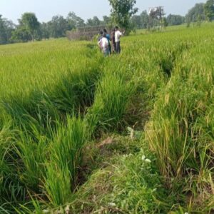 सोशल मीडिया वर प्रसारित झालेल्या काही file फोटो