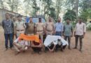 चितळाचे मांस प्रकरणी वन विभागाची चार व्यक्तींवर कारवाई