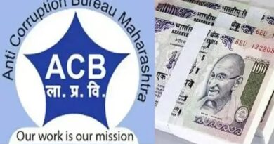 लाच मागणारा तलाठी ACB च्या जाळ्यात
