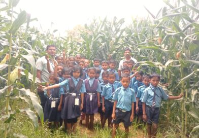 शाळेच्या पडीत जागेत ठिबक सिंचनाने मका लागवड! , शिक्षकांच्या कल्पक उपक्रमाने विद्यार्थ्यांना मिळाला प्रत्यक्ष शेतीचा अनुभव