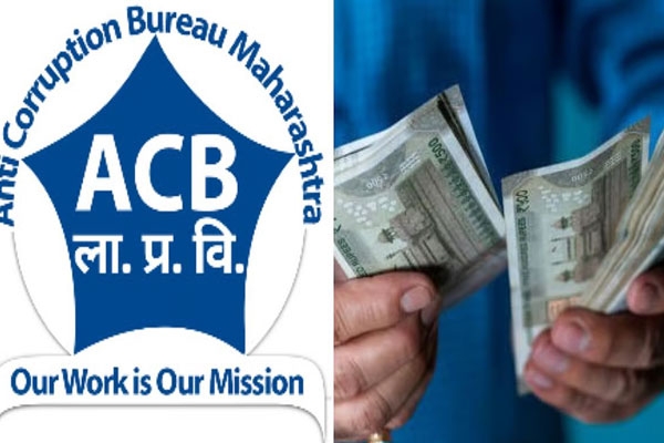 वीटभट्टी व्यवसायका कडून लाच मागणारी ग्राम महसूल अधिकारी ACB च्या जाळ्यात