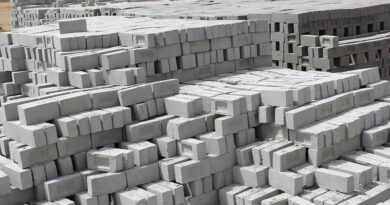 सडक अर्जुनी तालुक्यात काही ठिकाणी सिमेंट विटांच्या भट्ट्या थेट गावांमध्येच 