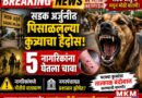 सडक अर्जुनीत पिसाळलेल्या कुत्र्याचा हैदोस; पाच जणांना चावा, नगरपंचायत झोपेत?