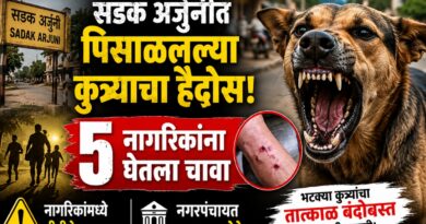 सडक अर्जुनीत पिसाळलेल्या कुत्र्याचा हैदोस; पाच जणांना चावा, नगरपंचायत झोपेत?