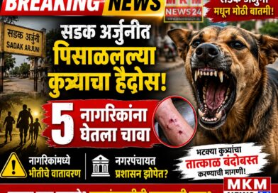 सडक अर्जुनीत पिसाळलेल्या कुत्र्याचा हैदोस; पाच जणांना चावा, नगरपंचायत झोपेत?